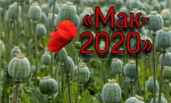 Опреация МАК -2020